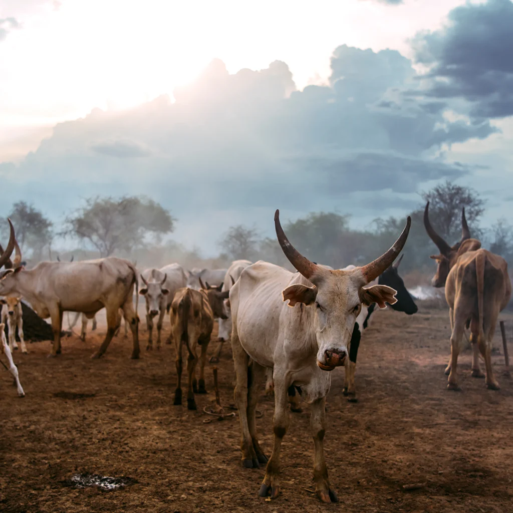 South Sudan