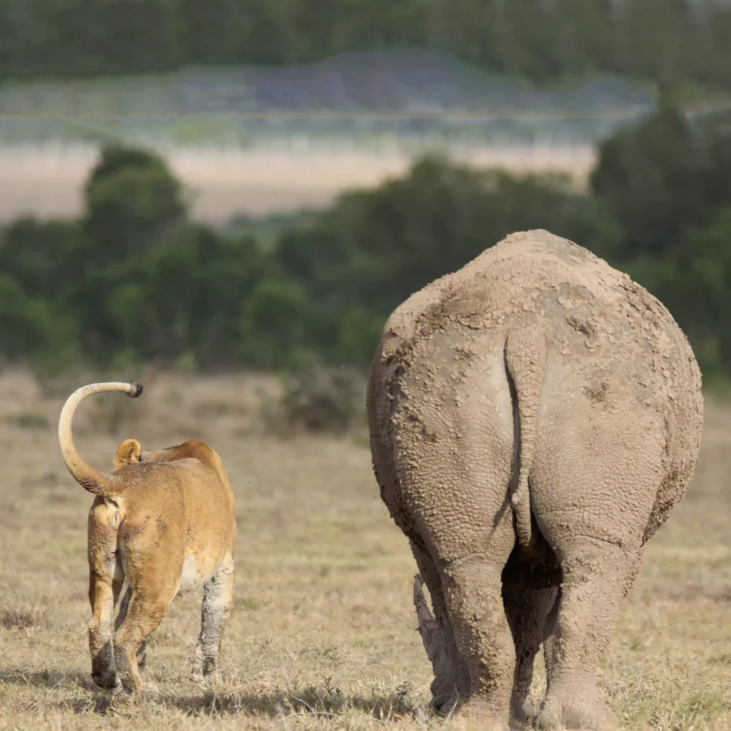 Best of Kenya Grand Safari